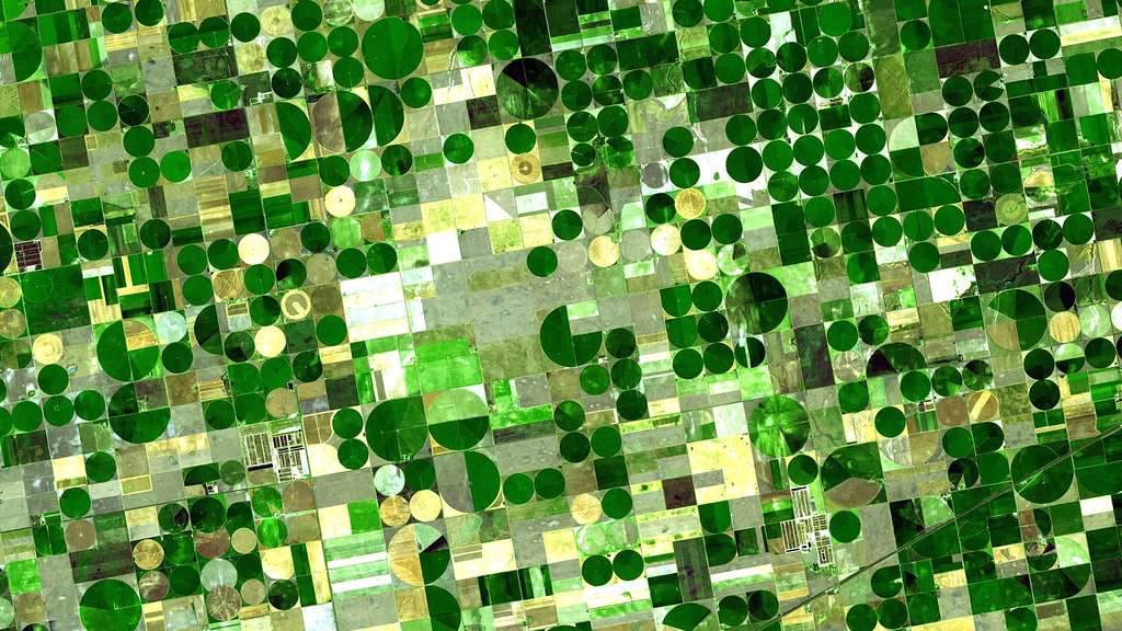 Cultures céréalières dans le Kansas, vues depuis l'espace Cultures céréalières dans le Kansas, vues depuis l'espace