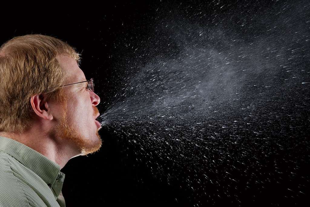 L'éternuement est l'une des manifestations qui permet à l'organisme de se débarrasser d'une molécule allergène qui passe dans les voies nasales. © James Gathany, Wikipédia, DP