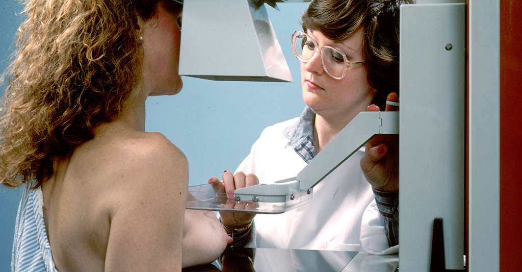Mammographie de dépistage du cancer du sein. © National Cancer Institut - Domaine public
