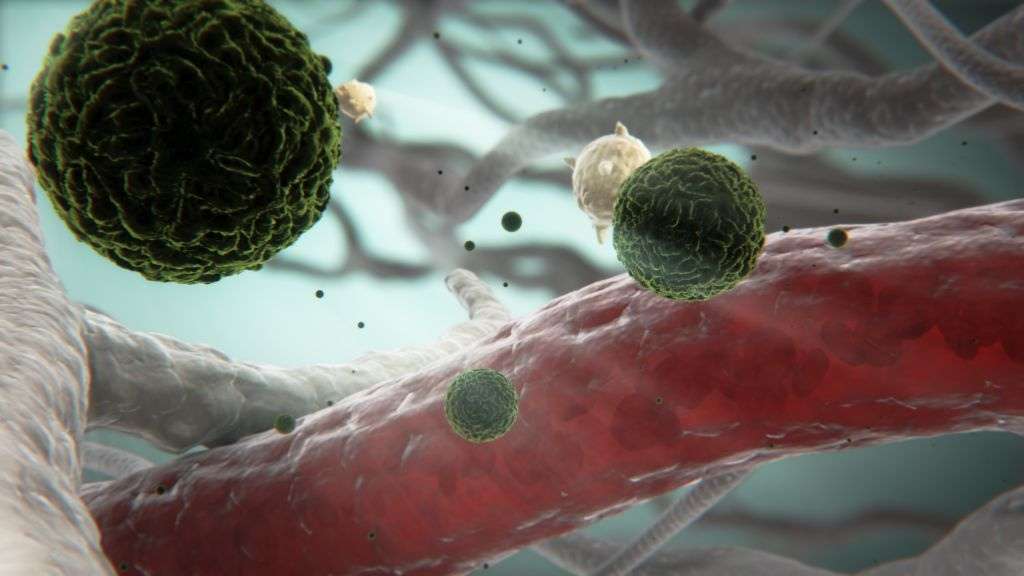 Le virus de la dengue gagne du terrain Le virus de la dengue gagne du terrain