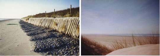 A gauche :Protection de l'affouillement à la base des rondins par gabions - A droite : Fixation des dunes de l'arrière-plage par plantation d'oyats. © Reproduction et utilisation interdites