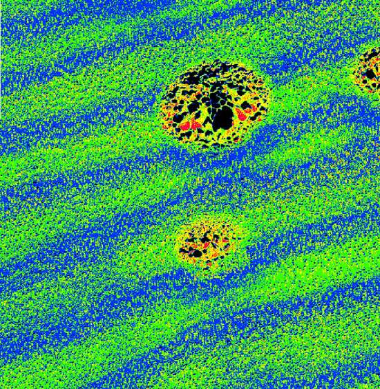 Sur cette coupe réalisée dans une algue rouge encroûtante Clathromorphum compactum, les lignes vertes trahissent la présence de magnésium déposé en été dans la calcite, lorsqu’il fait chaud et que de la lumière solaire parvient sur les fonds marins. Les lignes bleues sont caractéristiques des dépôts faits à basse température. En les étudiant, il est ici possible d’estimer durant combien de temps l’algue a reçu de la lumière chaque année durant sept ans (il y a sept lignes vertes exploitables). La hauteur de l’image correspond en réalité à un millimètre. © Andreas Kronz