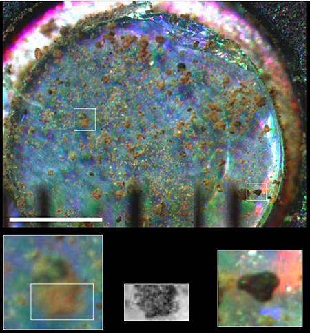 Image composite du premier échantillon examiné par le microscope optique. Crédit Nasa