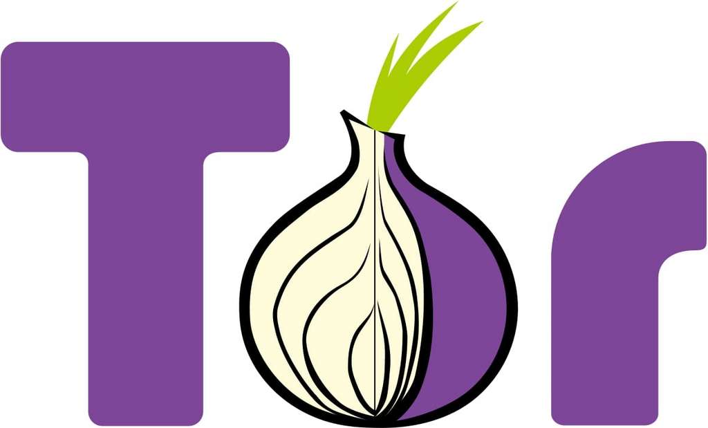 Tor assure un anonymat total quand vous naviguez sur le web. © The Tor Project
