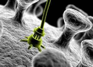 Image de synthèse pour une application potentielle de la nanotechnologie. © DR