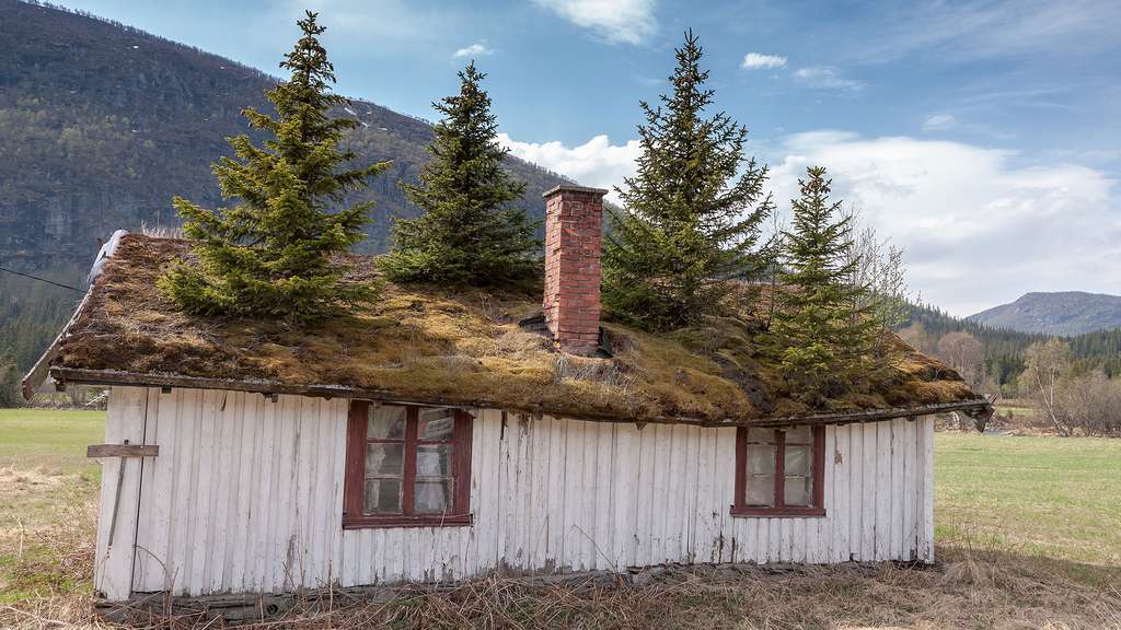 Une maison et des sapins Une maison et des sapins