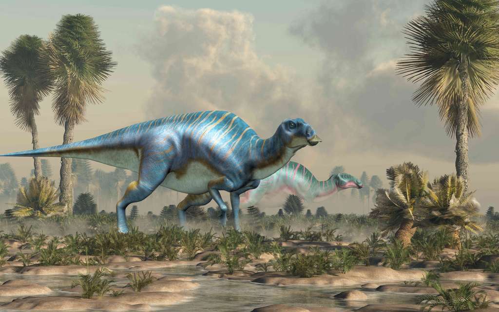 Les ornithischiens, dont font partie les hadrosaures, ont vraisemblablement perdu la capacité de thermorégulation de leurs ancêtres au cours de leur évolution. © Daniel Eskridge, Adobe Stock