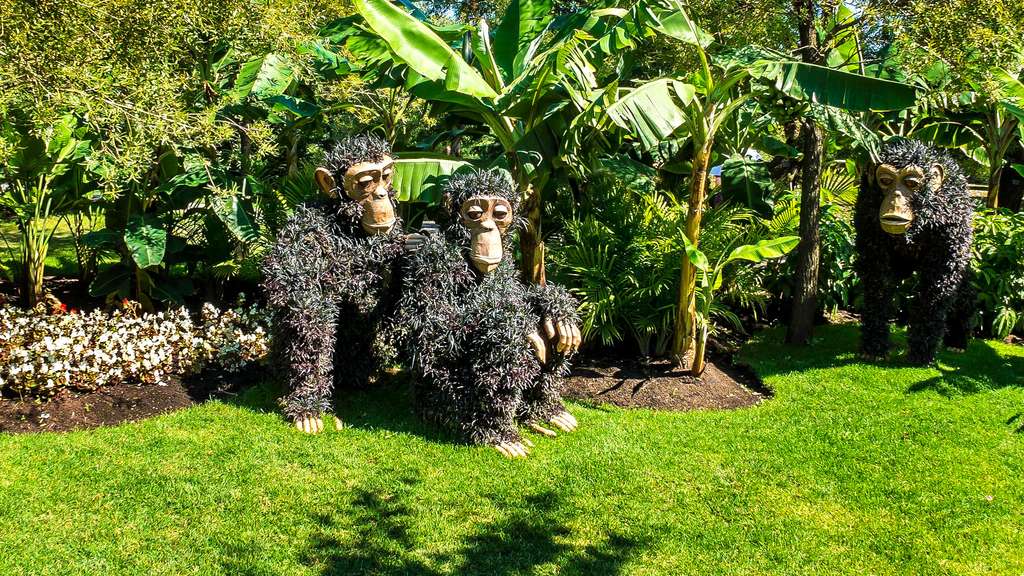 Amusante mosaïculture de chimpanzés Amusante mosaïculture de chimpanzés