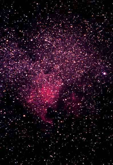 NGC 7000 Nébuleuse America