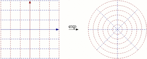 L'application exponentielle envoie les droites verticales sur des cercles et les droites horizontales sur des demi-droites issues de l'origine. L'application exponentielle est conforme : elle conserve les angles. Crédits : Salvatore Tummarello