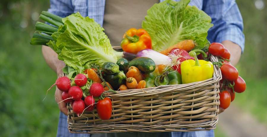 Donnez ou conservez les fruit et légumes en abondance. © HQuality, AdobeStock