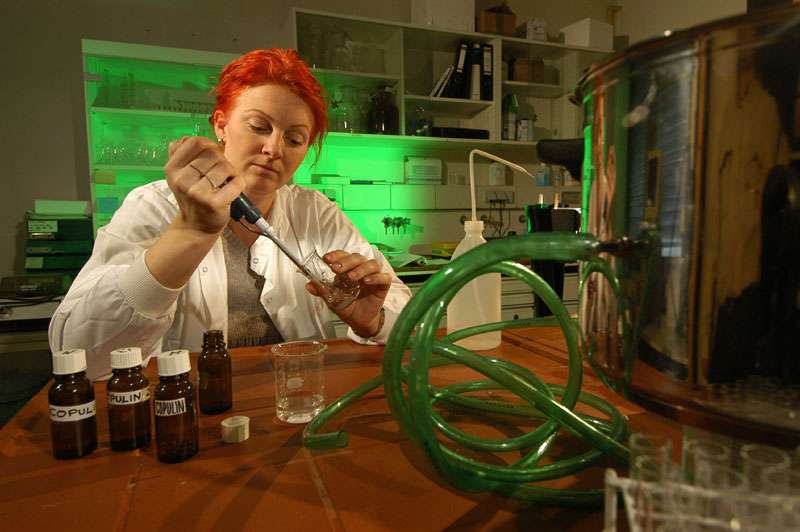Étude des effets des phéromones Étude des effets des phéromones