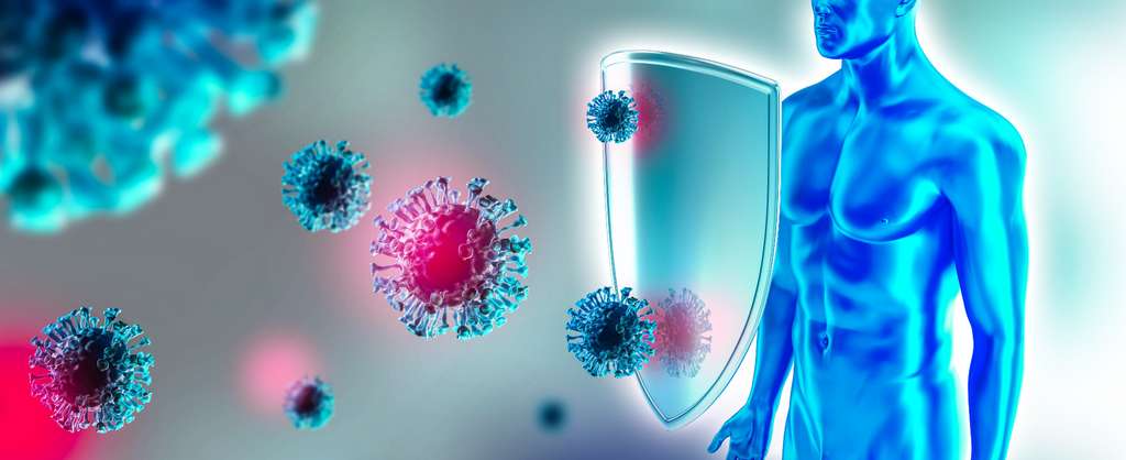 Infection naturelle et vaccination, deux réponses immunitaires face au SARS-CoV-2. © Bikej Barakus, Adobe Stock