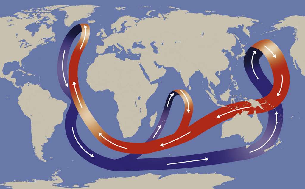 La circulation océanique thermohaline brasse les eaux et convoie la chaleur à l'échelle du globe. © Nicolas Primola, Adobe Stock