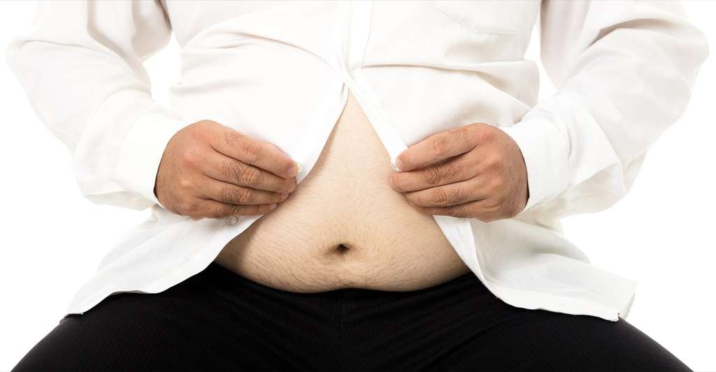 L'obésité est une maladie de plus en plus répandue. © TomWang Shutterstock