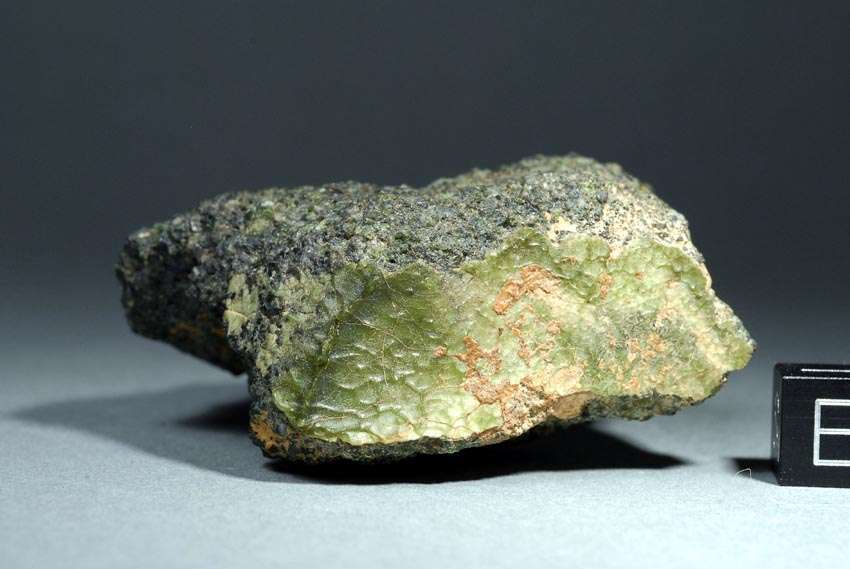 Voici le plus gros morceau (100 gr) de la météorite NWA 7325. Les 35 fragments ramassés en 2012 dans le désert marocain présentent la même composition minéralogique que la surface de la planète Mercure. © Stefan Ralew, sr-meteorites.de