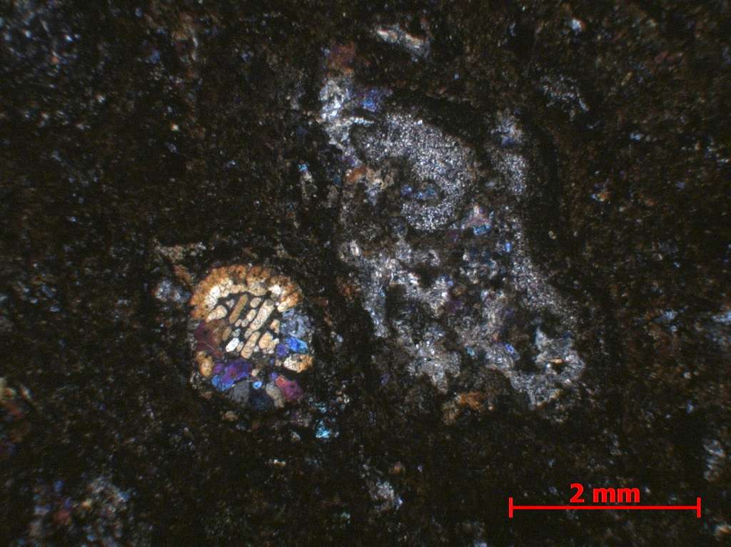 Chondre, à gauche, et inclusion réfractaire (CAI), à droite, sont bien visibles sur cette image prise au microscope polarisant d'une coupe d'une météorite. © Damien Mollex