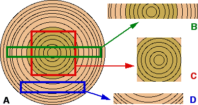 Figure 23. Découpe schématique dans un tronc. Dans un tronc (A), la découpe symétrique du bois de cœur permet la fabrication de poutres (C) ou de poteaux très résistants. Pour la fabrication de planches, la découpe radiale (B) permet la meilleure résistance. Par contre les découpes tangentielles (D) donnent des planches qui peuvent se voiler en séchant. © Photo R. Prat
