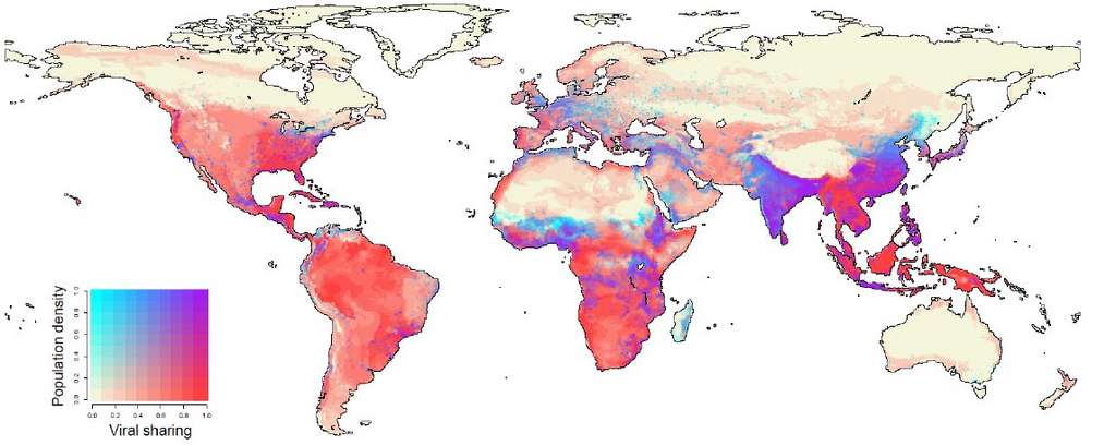 En rouge, les zones les plus à risque pour l'émergence de nouvelles zoonoses. © Colin Carlson