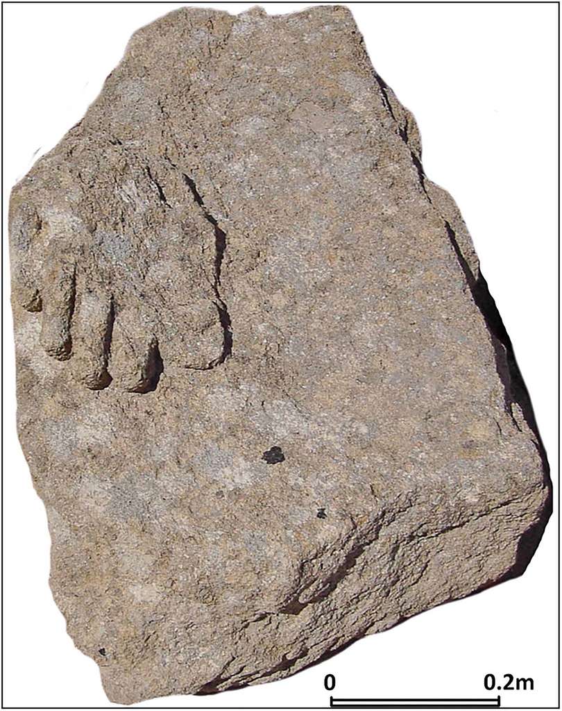 Le pied sculpté d'une statue attribuée au dieu Ba'al se trouvait au fond du bassin sacré. © Nigro, 2022