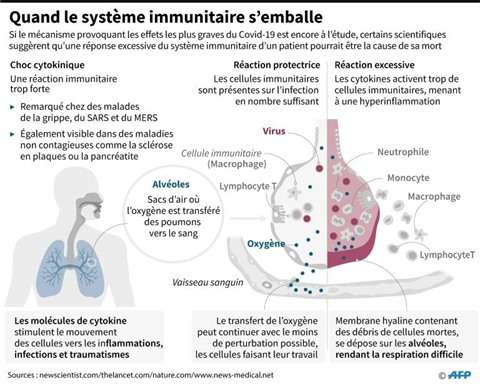Infographie résumant le phénomène de l'emballement de système immunitaire qui conduit à la «tempête de cytokine». © : AFP, VNA, CVN