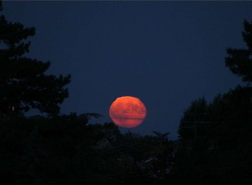 Lune aplatie près de l'horizon Lune aplatie près de l'horizon