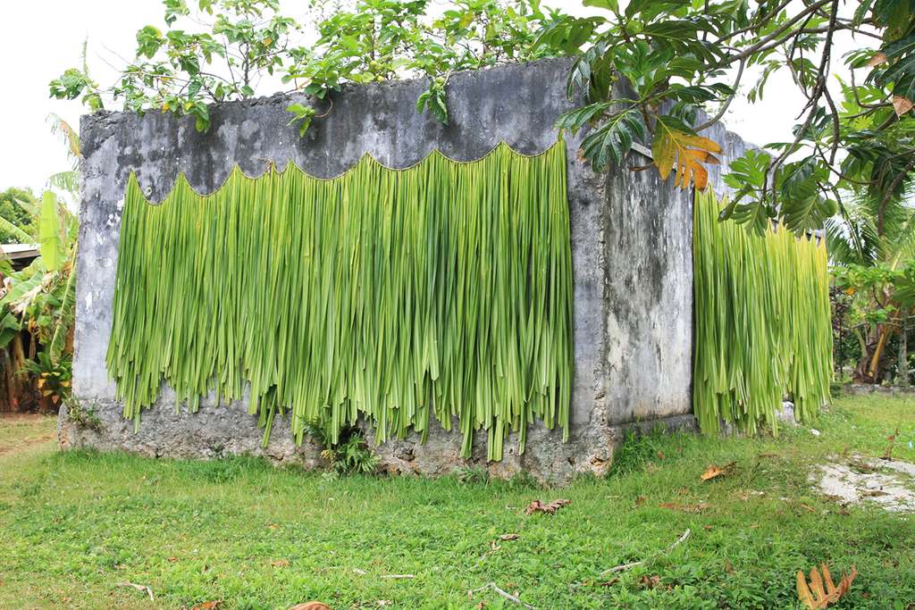 Séchage des feuilles de fara à Rimatara Séchage des feuilles de fara à Rimatara