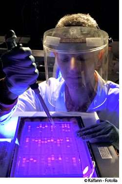 Les cellules souches manipulées ont permis d'obtenir des mélanocytes in vitro. © KaYann-Fotolia