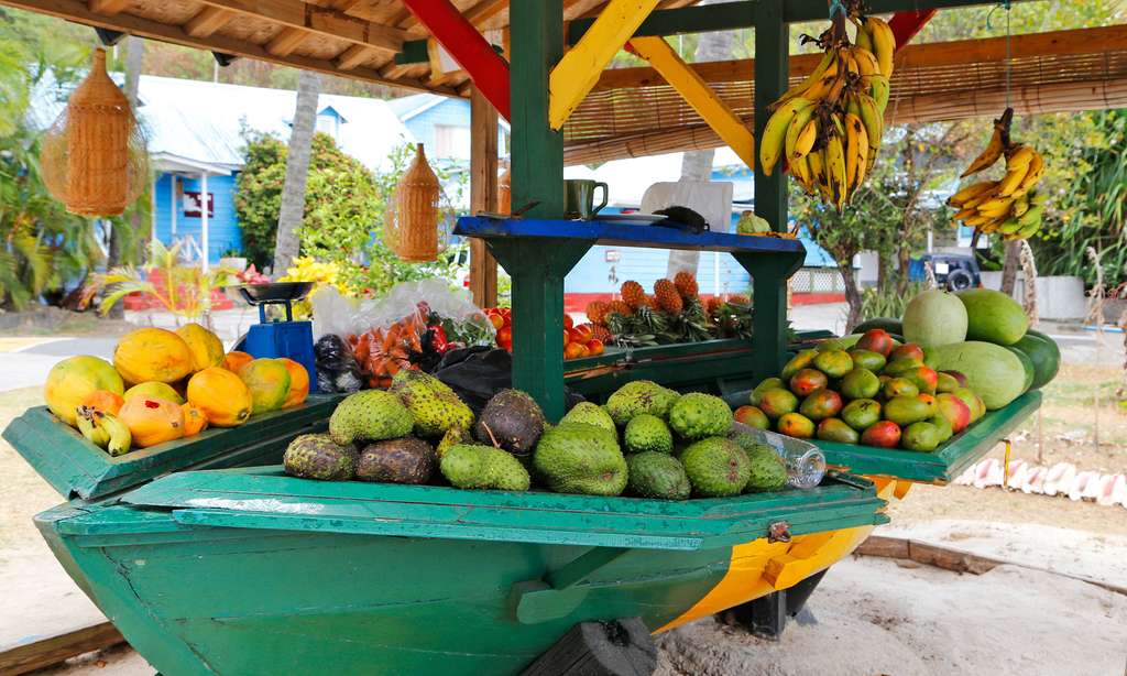 Moustique, l'île privée des Grenadines Moustique, l'île privée des Grenadines