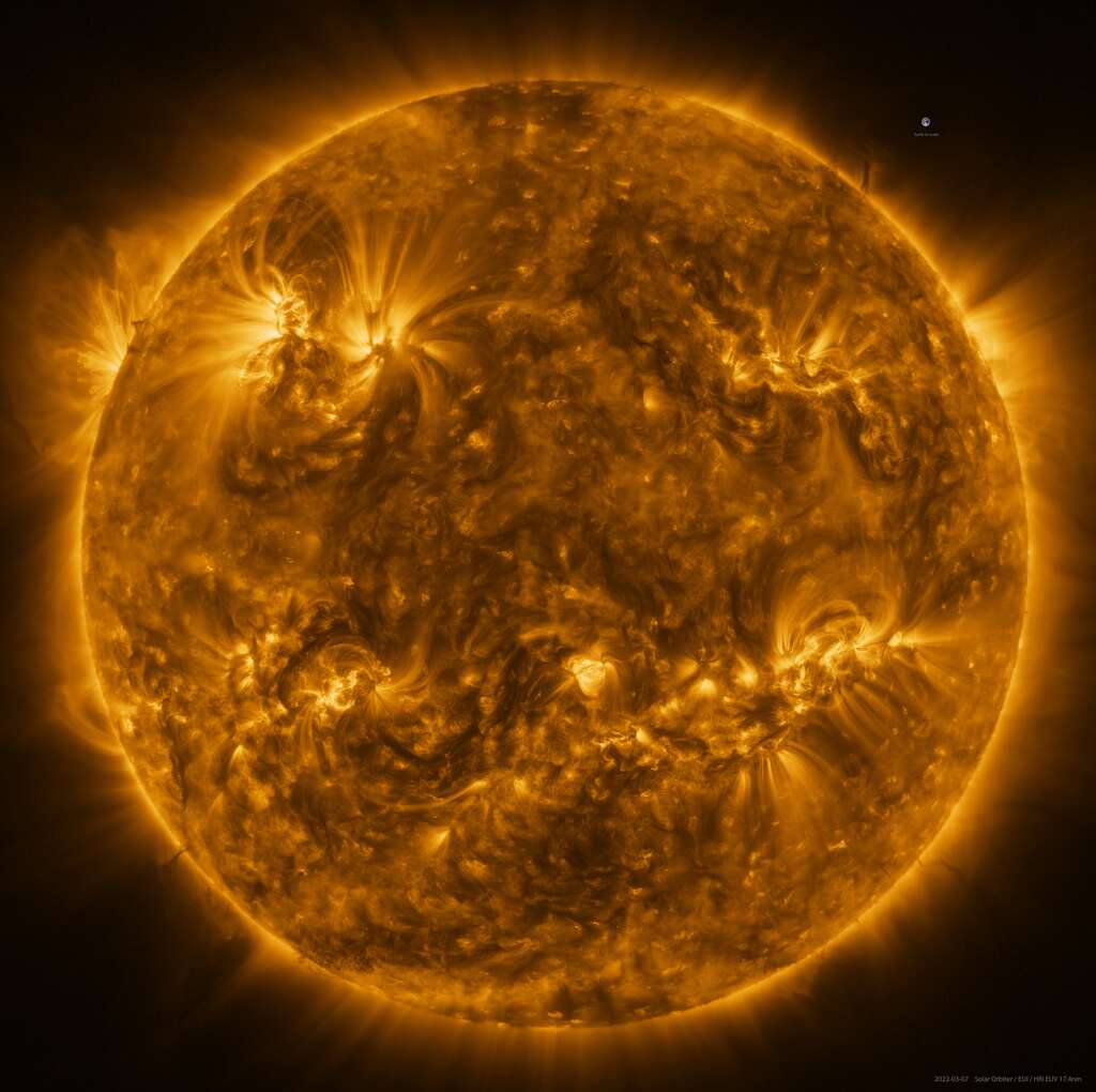 Sur cette image prise par l’Extreme Ultraviolet Imager (EUI) de Solar Orbiter, on peut voir quelques protubérances susceptibles d’exploser en projetant d’énormes quantités de gaz coronal dans l’espace et créant des tempêtes solaires. On aperçoit aussi notre bonne vieille Terre… (téléchargez l'image en haute résolution pour la parcourir et zoomer dedans en plein écran) © ESA & Nasa, Solar Orbiter, EUI team ; Data processing : E. Kraaikamp (ROB)