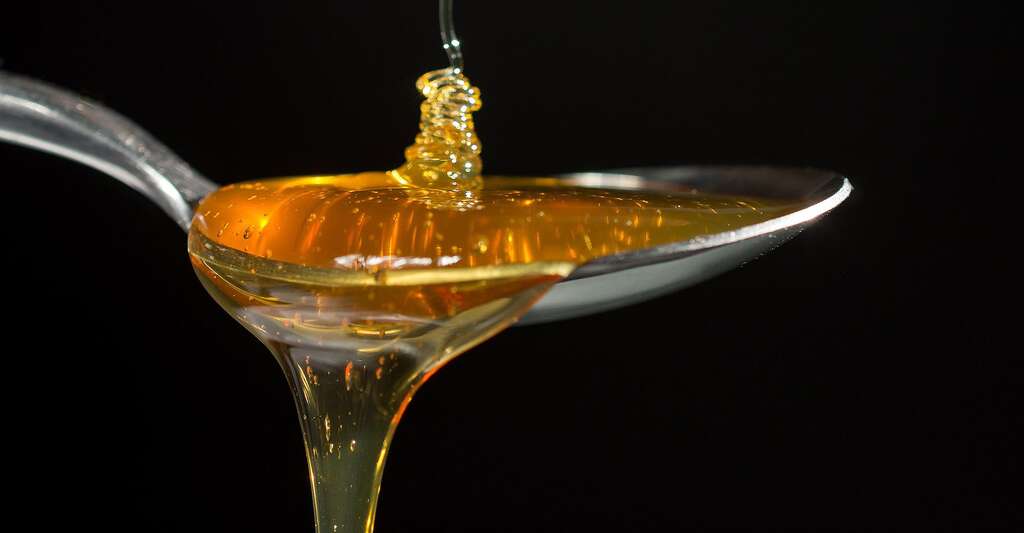 Quels sont les produits de l'apithérapie ? Ici, le miel, délicieux. © Maxknoxvill, CCO