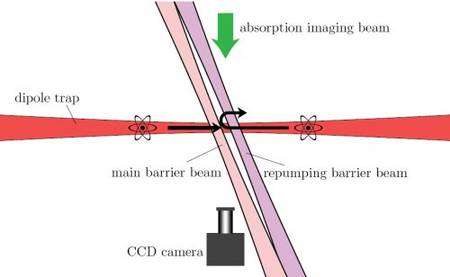 Le schéma de l'expérience des chercheurs de l'université de l'Oregon. Un faisceau d'atomes de rubidium (rouge) traverse les deux faisceaux laser (rose et violet). Crédit : Daniel Steck