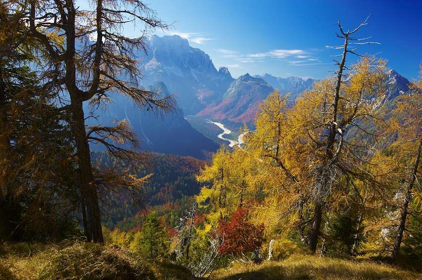 Forêt mixte, Val Raccolana, Alpes juliennes italiennes, Italie. © Dario Di Gallo, Service forestier régional du Frioul-Vénétie Julienne