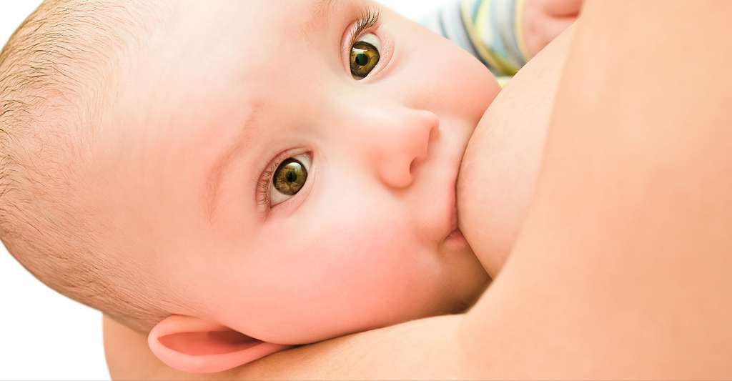 L'allaitement demande un temps d’apprentissage et d’adaptation. © Sonsedska Yuliia, Shutterstock