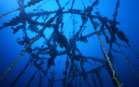 Exemple de mise en place d’un réseau de filières de pleine eau sur un récif artificiel. Cas du Parc national de Port-Cros. © Figure et photo E. Charbonnel - Tous droits réservés.