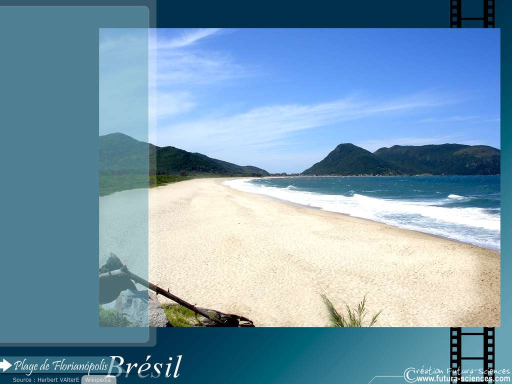 Plage de Florianopolis Brésil Plage de Florianopolis Brésil