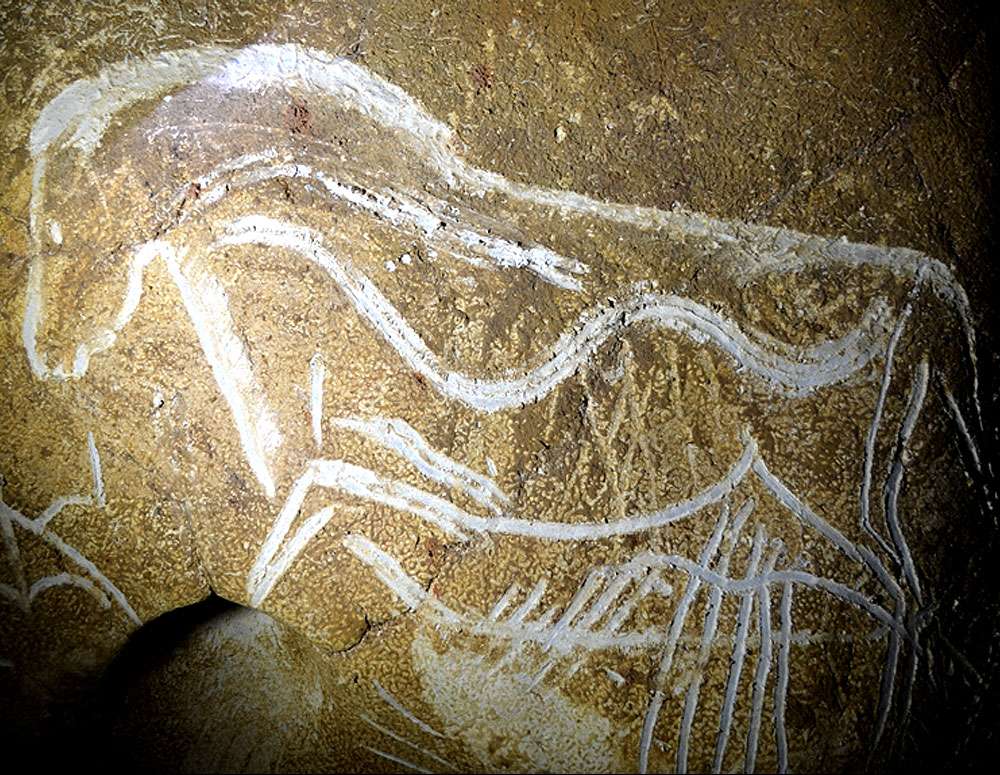 Gravure de cheval dans la Salle Hillaire de la grotte Chauvet Gravure de cheval dans la Salle Hillaire de la grotte Chauvet