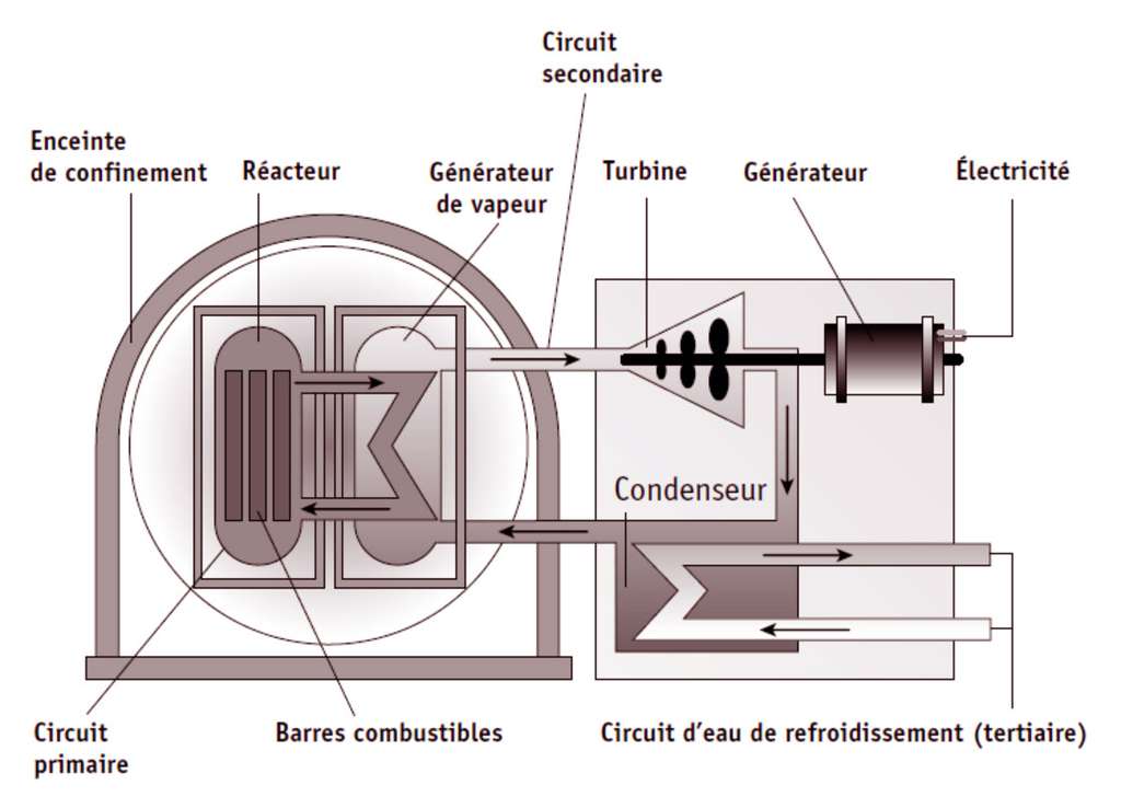 Schéma d’un réacteur nucléaire à eau pressurisée. La vapeur d’eau produite fait tourner une turbine qui entraîne à son tour un générateur. © Nuclear Research and Consultancy Group