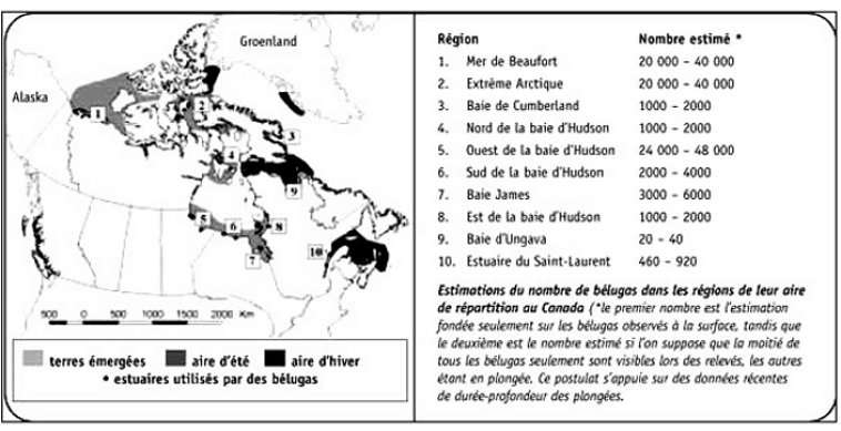 Aires de répartitions du béluga et migration. © DR