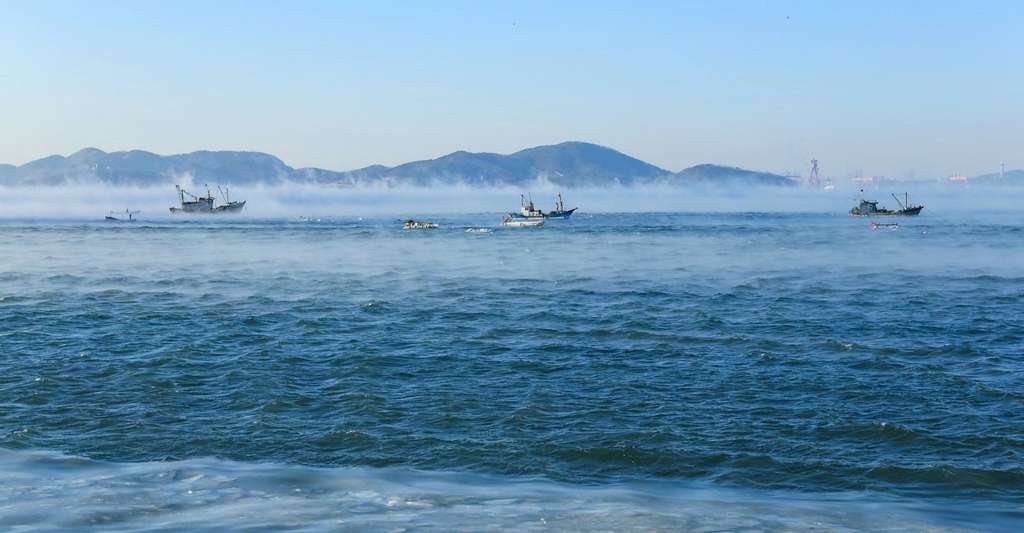 Le brouillard de mer observé ici en mer Arctique est un phénomène rare. Il apparaît lorsqu’un air glacial entre en contact avec une eau relativement chaude. © Shaoqing Wang, Académie des sciences chinoise