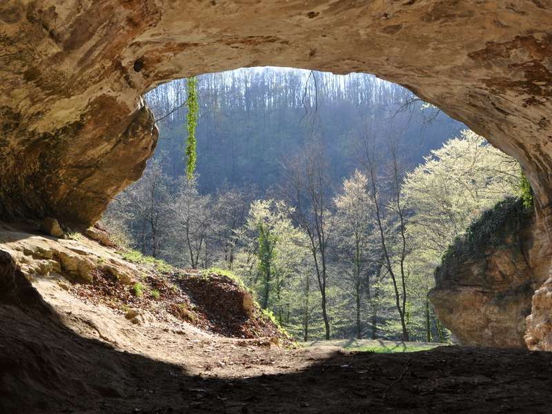 La grotte de Vindija, en Croatie, est connue pour la découverte de restes de plusieurs individus néandertaliens dont un os contenant une séquence d'ADN mitochondrial complète. Sa datation directe au carbone 14 a fourni un âge d'environ 38.000 ans. © MPI f. Evolutionary Anthropology, J. Krause