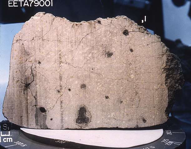Une coupe de la météorite EET 79001. Elephant Moraine 79001 est une météorite basaltique trouvée lors d’une campagne de recherche de météorites et sur Elephant Moraine. Rappelons qu’une moraine est un amas de débris rocheux érodé et transporté par un glacier ou par une nappe de glace. © Nasa