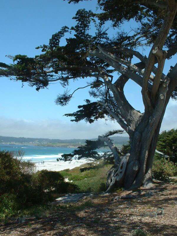 Une vue à distance de la plage de Carmel, en Californie. © Seglea cc by nc 3.0