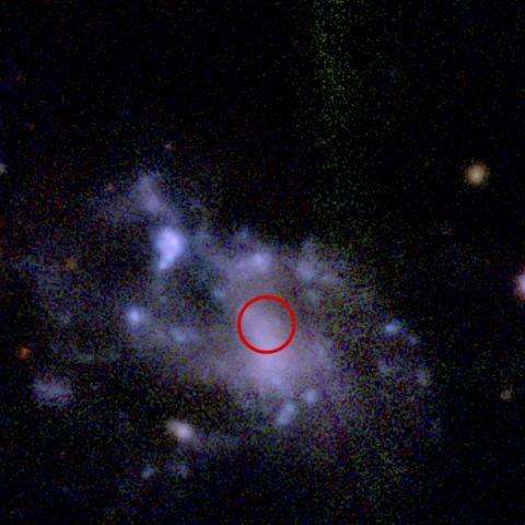 Cette supernova observée à 170 millions d’années-lumière fera-t-elle la lumière sur ce phénomène encore mal compris par les astronomes ? © Carnegie Science