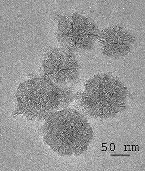 Les nanocornets s’assemblent naturellement en structures circulaires de 80 à 100 nanomètres de diamètre. Crédit : F. Warmont / CNRS 2007.