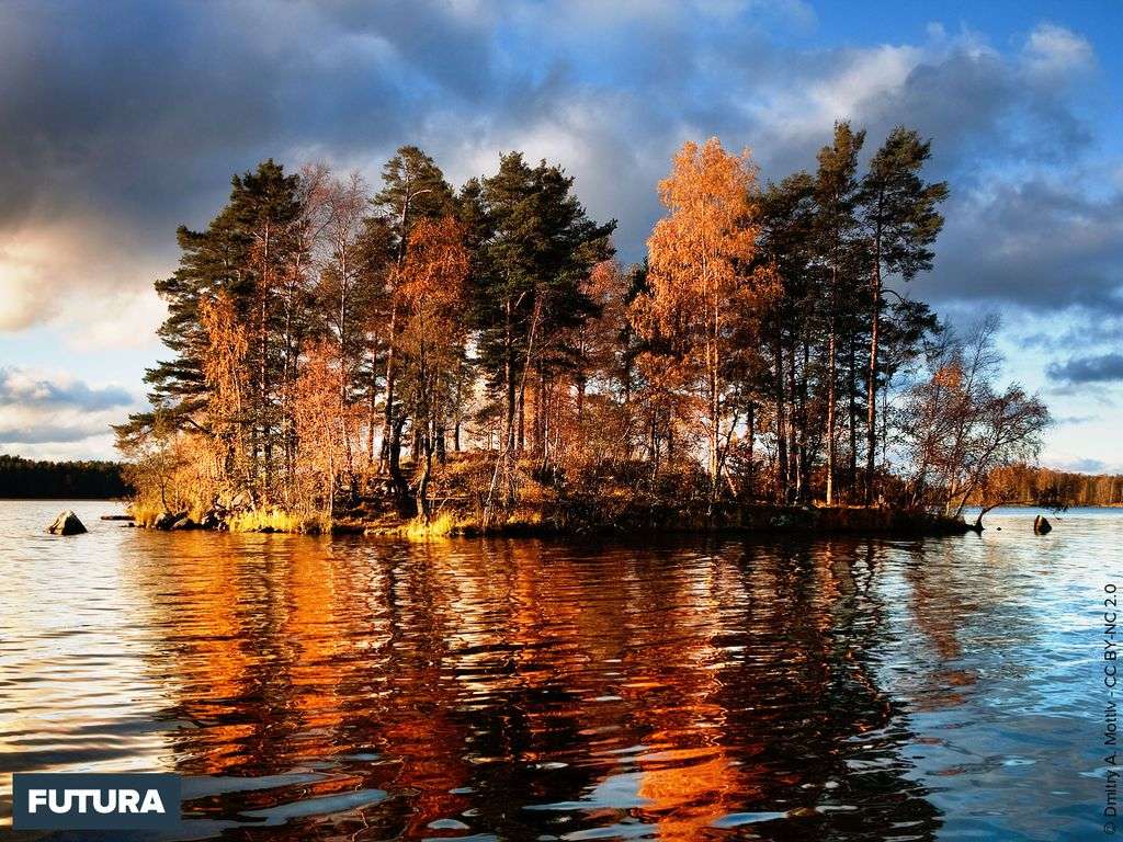 Fond Décran Lac Vuoska En Automne