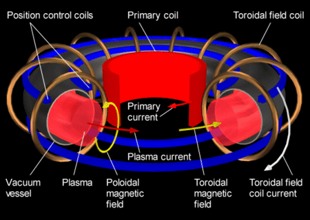 Schéma d'un tokamak, instrument du confinement magnétique. ©Associated Plasma Laboratory (LAP)