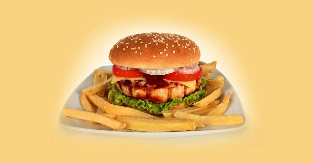 Le diabète de type 2 s'explique simplement. Ici, un burger, symbole d'une alimentation trop grasse et trop sucrée. © Gmeviphoto, Shutterstock