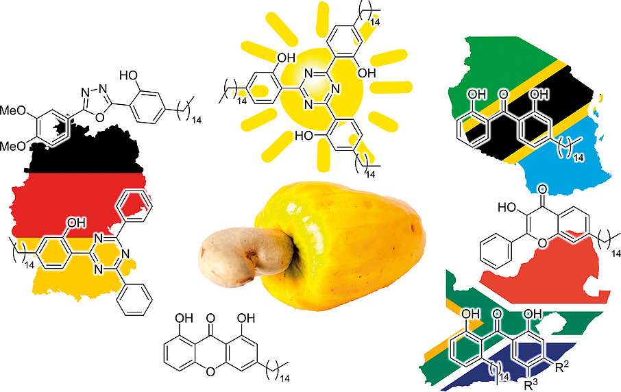 De la crème solaire bientôt produite à partir de noix de cajou