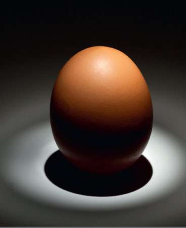 Pour bien des peuples, l’œuf est lié à la genèse du monde et à sa différenciation progressive. Pour l'univers, on parle d'œuf primordial. © Dunod 2011